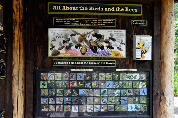 sign about the Birds and the Bees